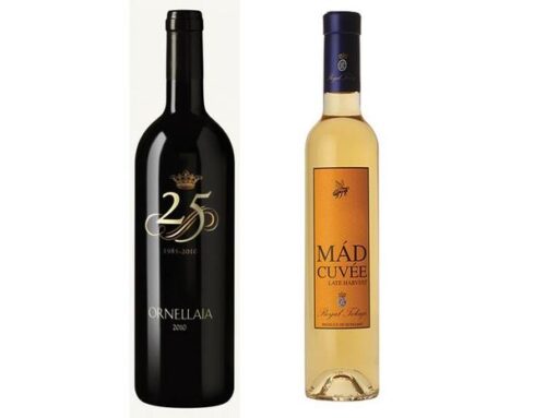 Celebrate New Year’s Eve with these fine wines